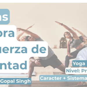 Curso de Yoga
